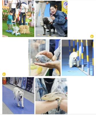 數(shù)萬寵業(yè)人齊聚潮寵展，這些亮點(diǎn)讓人驚呼OMG！寵物全運(yùn)會(huì)點(diǎn)燃行業(yè)激情