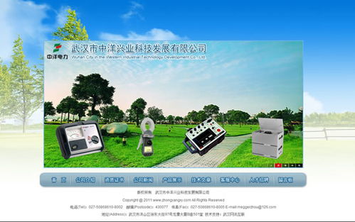 武漢網(wǎng)站設計項目 武漢市中洋興業(yè)科技發(fā)展網(wǎng)站開通