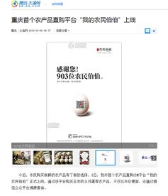 關于一家互聯(lián)網(wǎng)農(nóng)產(chǎn)品公司的相關設計和插畫作品