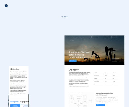 俄羅斯能源清潔公司biomicrogel網(wǎng)站ui設(shè)計
